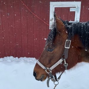 Meet your Posher, Charlotte